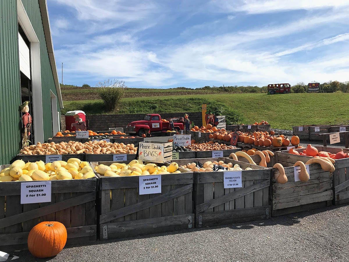 Inspiring Fall Décor