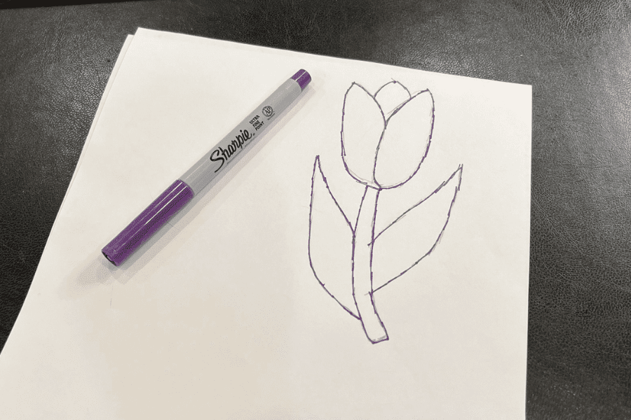 Sketch of tulip