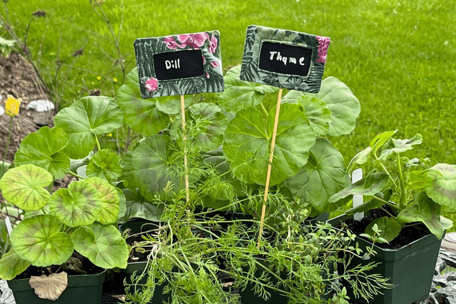 Plant ID Stakes in herb pots